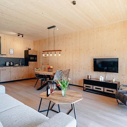 Luxury apartment with sauna in Austria - 5