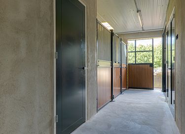 Spend the night overlooking the woods - 33