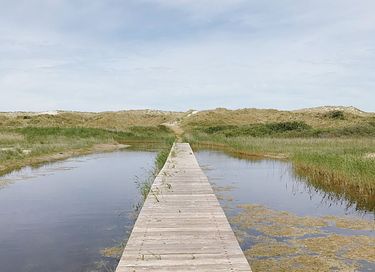 Studio confortable à Nes on Ameland - 14