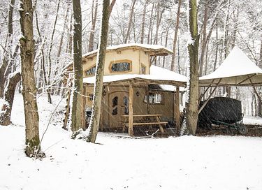 Einzigartiges Hobbit-Haus im Wald - 11