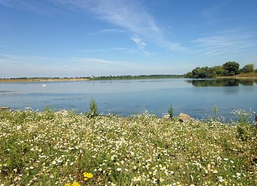 Uniek overnachten op het water - 15