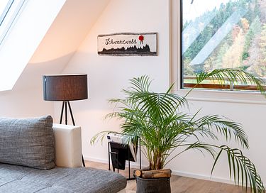 Wellness overnachting in het Zwarte Woud - 15