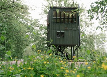 Hébergement unique en altitude sur la Veluwe