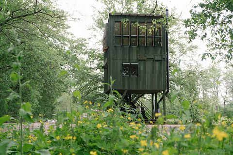 Unik feriebolig i højden på Veluwe - 2