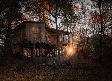 Prachtige boomhut (4p) midden in de natuur - 3