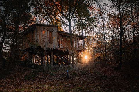 Prachtige boomhut (4p) midden in de natuur - 3