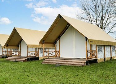 6-person glamping tent on the Veluwe - 2
