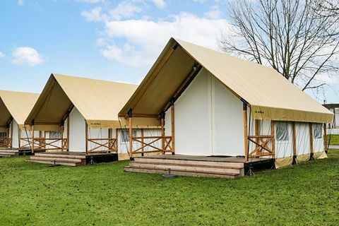 6-person glamping tent on the Veluwe - 2