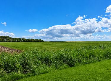 Holiday home in Zeeland with an unobstructed view - 29