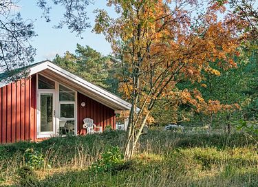 Gezellig vakantiehuis midden in het bos - 13