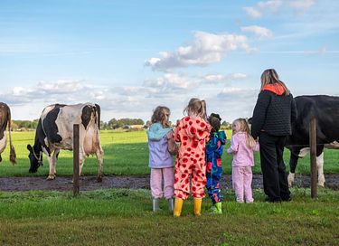 Glamping at Dairy Cattle & Calves Farm - 3