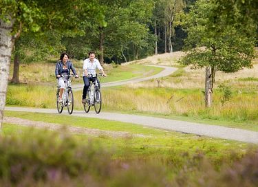 4-persoons wellness vakantiehuis - 43