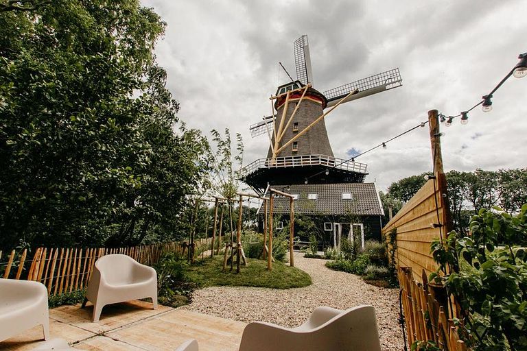 Slapen in molen uit 1851 in Zuid-Holland - 1