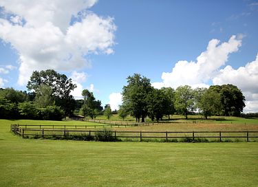 Uniek huisje (4p) op historisch landgoed - 29