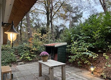 Cozy cottage in the forest - 28
