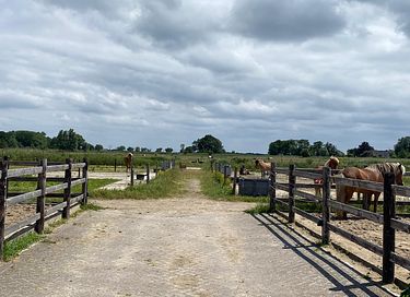 Luxe vakantiehuis tussen de IJslandse paarden - 14