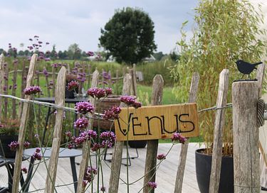 Yourte de luxe au style boutique - 18