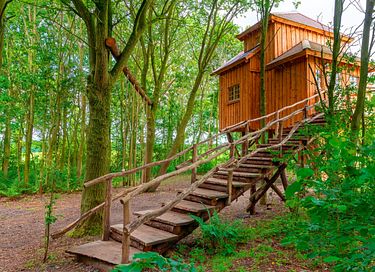 De ultieme boomhut belevenis  - 23