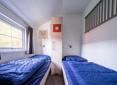 Logement de vacances dans les bois sur la Veluwe - 9