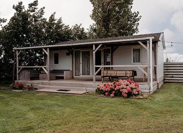 Logement de vacances au milieu des champs de bulbes - 3