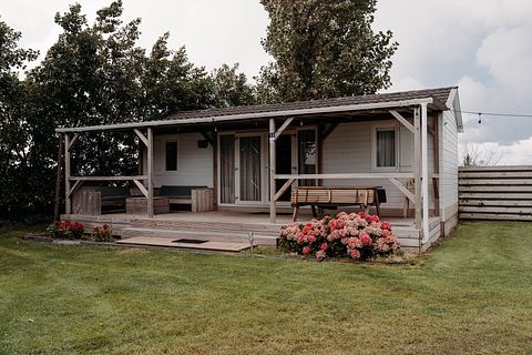 Logement de vacances au milieu des champs de bulbes - 3