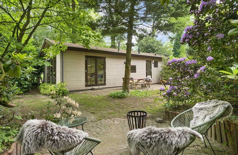 Mooi gelegen vakantiehuis midden op de Veluwe - 1