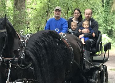Ruime lodge op mooi domein met paarden - 25