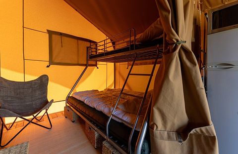 Tente safari dans les dunes de Hollande du Nord - 4