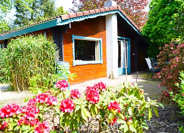 Maison dans la forêt en bois avec jardin spacieux - 28
