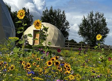 Romantischer Wellness-Aufenthalt in einem luxuriösen Dome - 31