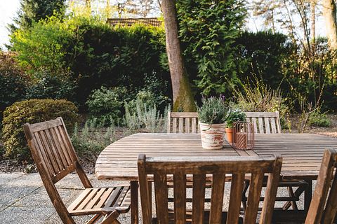 6-persoons vakantiehuis in Belgisch bos - 2
