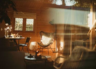 Huis met hottub op de Veluwe direct aan bos - 5