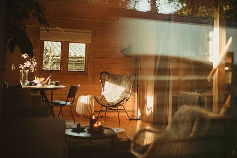 Huis met hottub op de Veluwe direct aan bos - 5