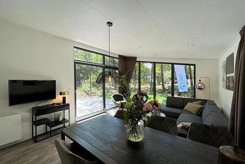 Luxury 6-person holiday home in Drenthe - 3