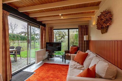 Gezellig vakantiehuis in Zeeland - 5