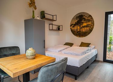 Cozy studio in green surroundings - 5