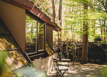 Chalet confortable (6p) dans la forêt en Belgique - 25