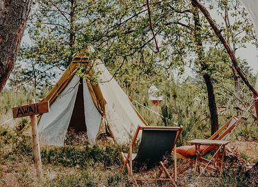 Glamping met de familie in Brabant - 6