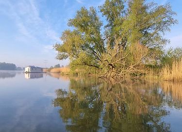 Biebosch insolite sur l'eau - 16