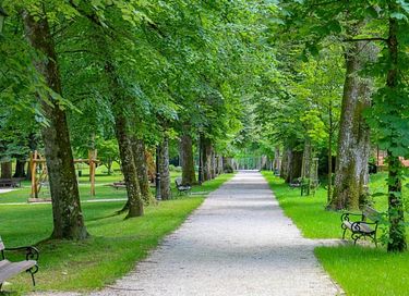 Appartement in Slovenië met eigen Wellness - 19