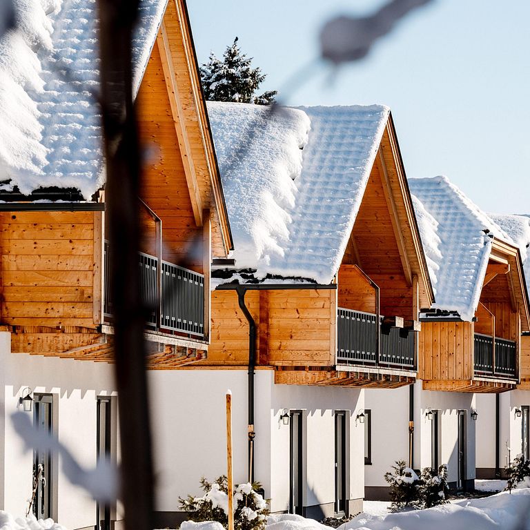Vrijstaand chalet met bergzicht - 1