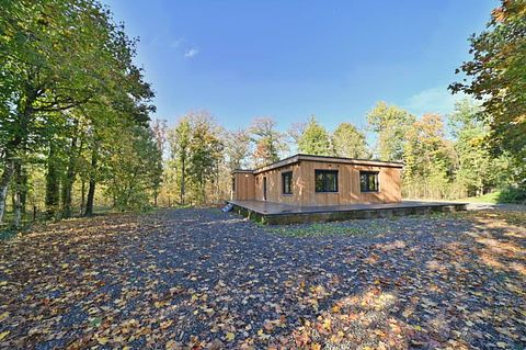 Chalet avec jacuzzi dans les bois des Ardennes - 2