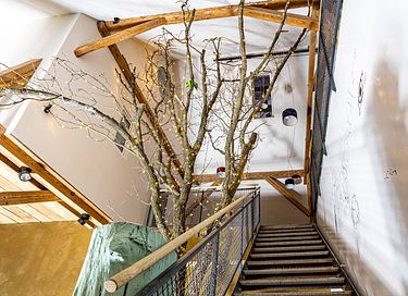 Séjour au cœur de la nature - 3