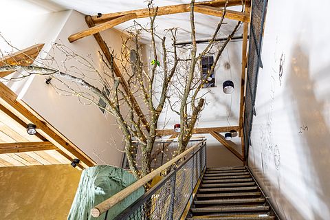 Séjour au cœur de la nature - 3