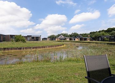 Animal friendly bungalow in Drenthe - 16