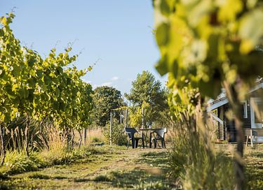 Nurdachhaus mit privatem Wellness - 25