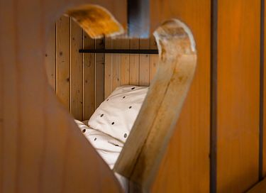 Accommodation with jacuzzi & sauna in Drenthe - 15
