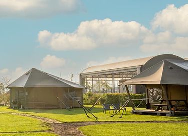 Vakantie op een speelboerderij in Limburg - 8