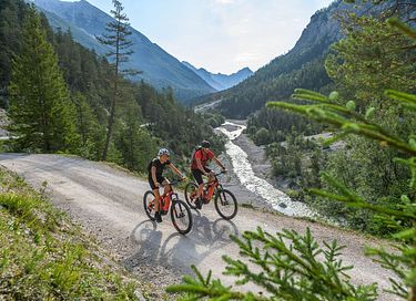Grand chalet dans les Alpes autrichiennes - 27