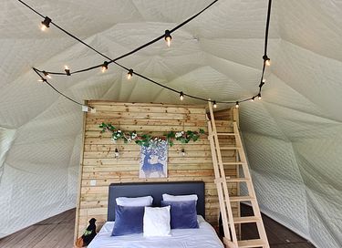 Glamping tent with bathroom and kitchen near forest - 9